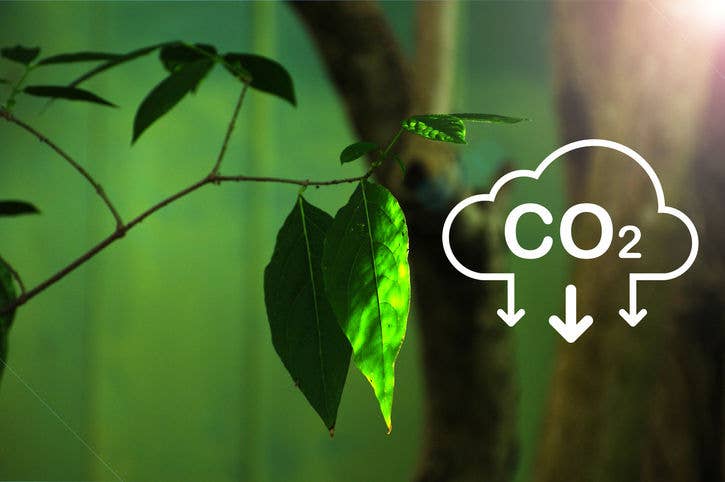 CO2 voetafdruk verminderen